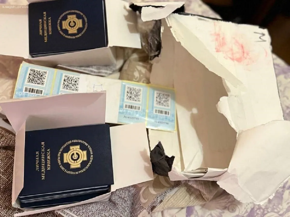 На Камчатке задержаны подозреваемые в создании поддельных дипломов и санитарных книжек