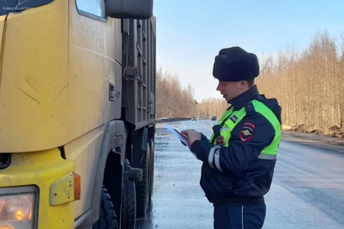 В Петрозаводске стартовали проверки грузовиков на соблюдение стандартов