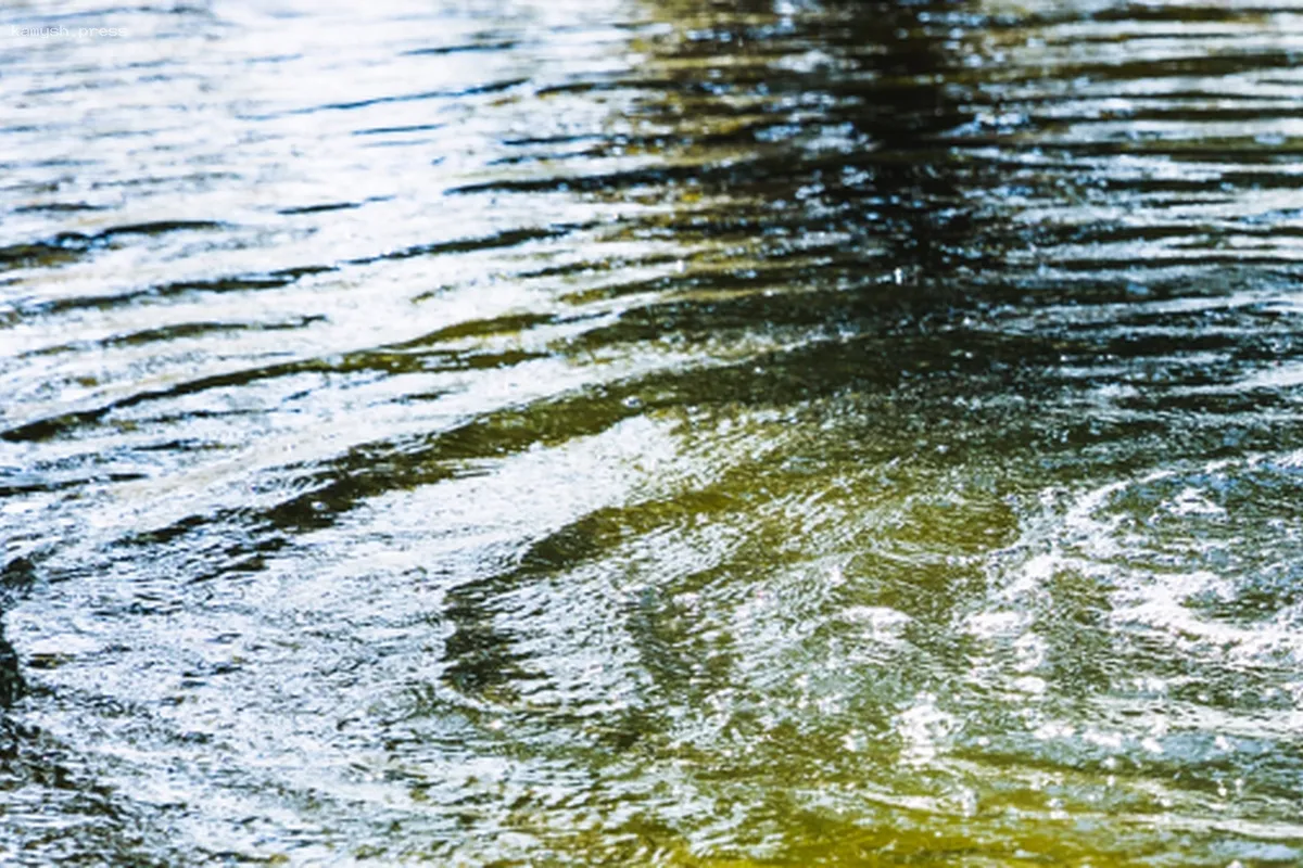 В Ростовскую область доставят судно на подводных крыльях «Метеор»