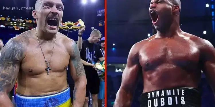 Дюбуа раскрыл возможные сроки боя с Усиком