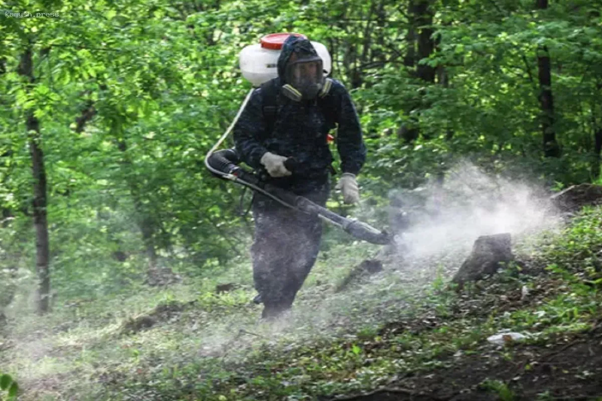 В Новосибирске начали обработку кладбищ от клещей