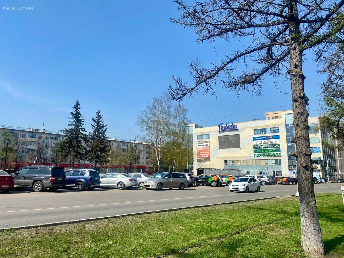 В Пушкинском округе будет введена платная парковка