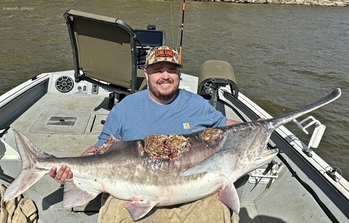 Рыбак поймал рыбу-зомби весом в 45 килограммов