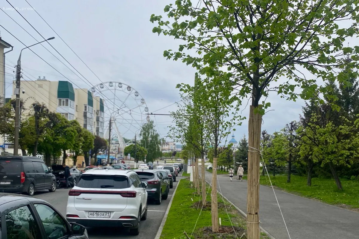 Мэр Владимир Доброхотов: В Чебоксарах в 2025 году запланирована посадка 380 деревьев и 3,6 тысячи кустов