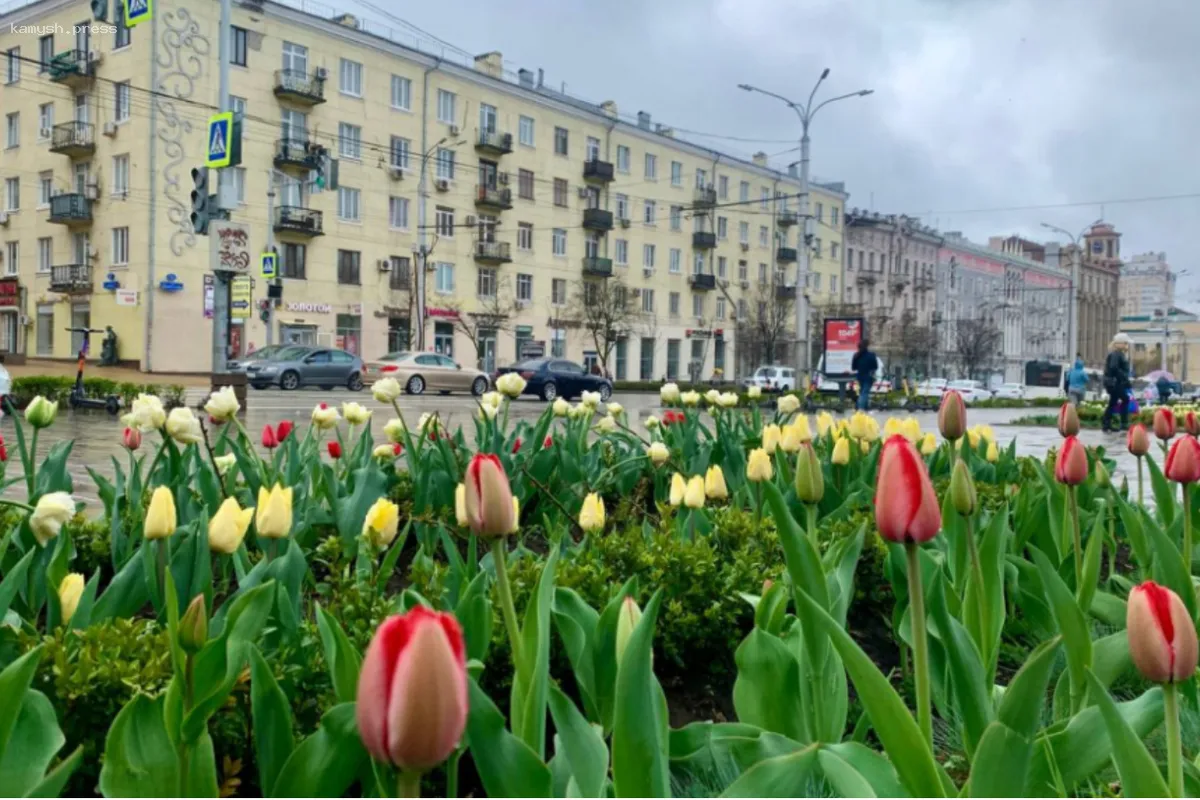 В Ростове-на-Дону 9 мая прогнозируется резкое похолодание