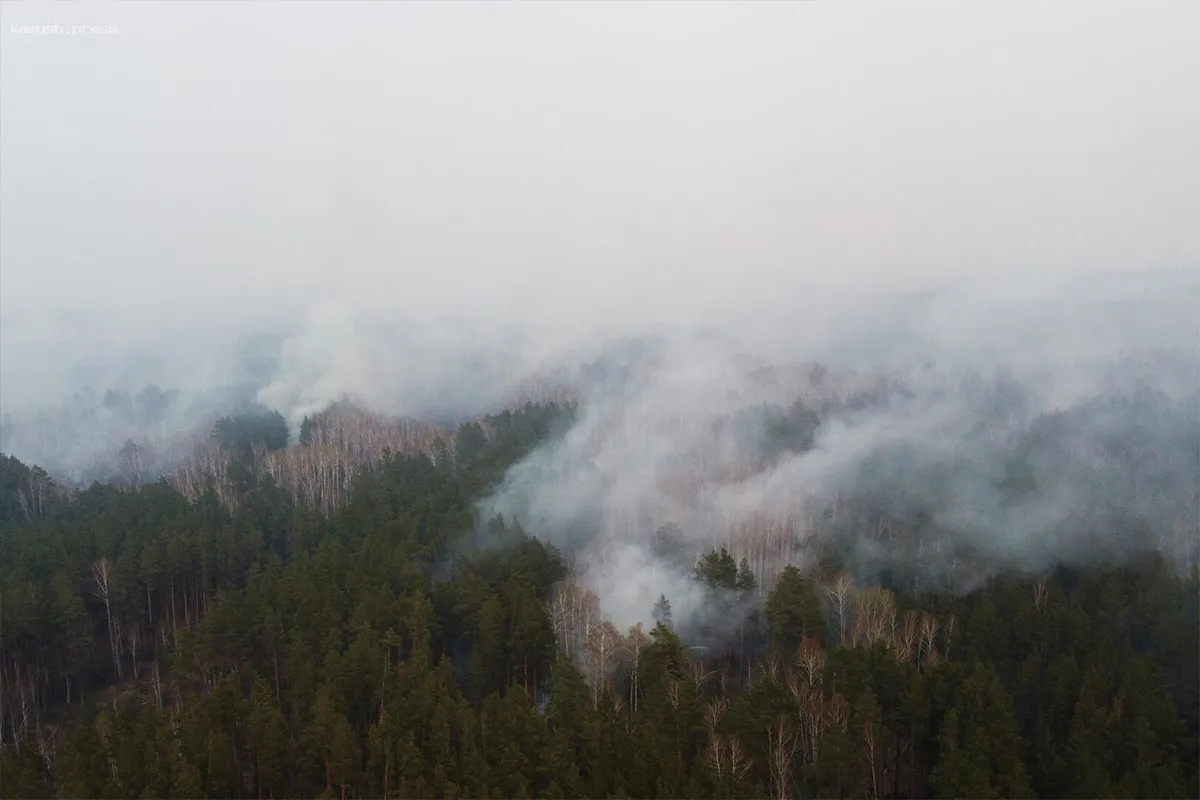 Два человека погибли в результате лесных пожаров в Канаде