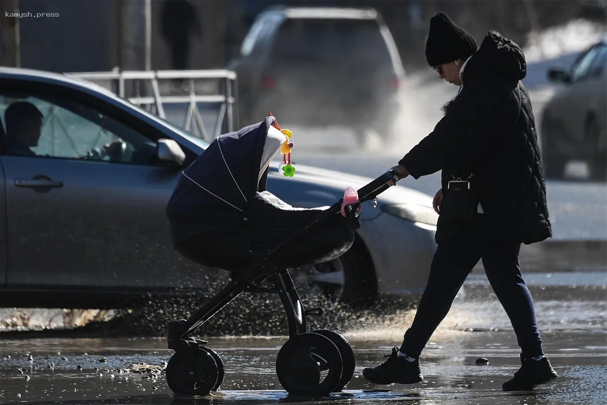 В Новосибирске предложили внедрить налог на отсутствие детей
