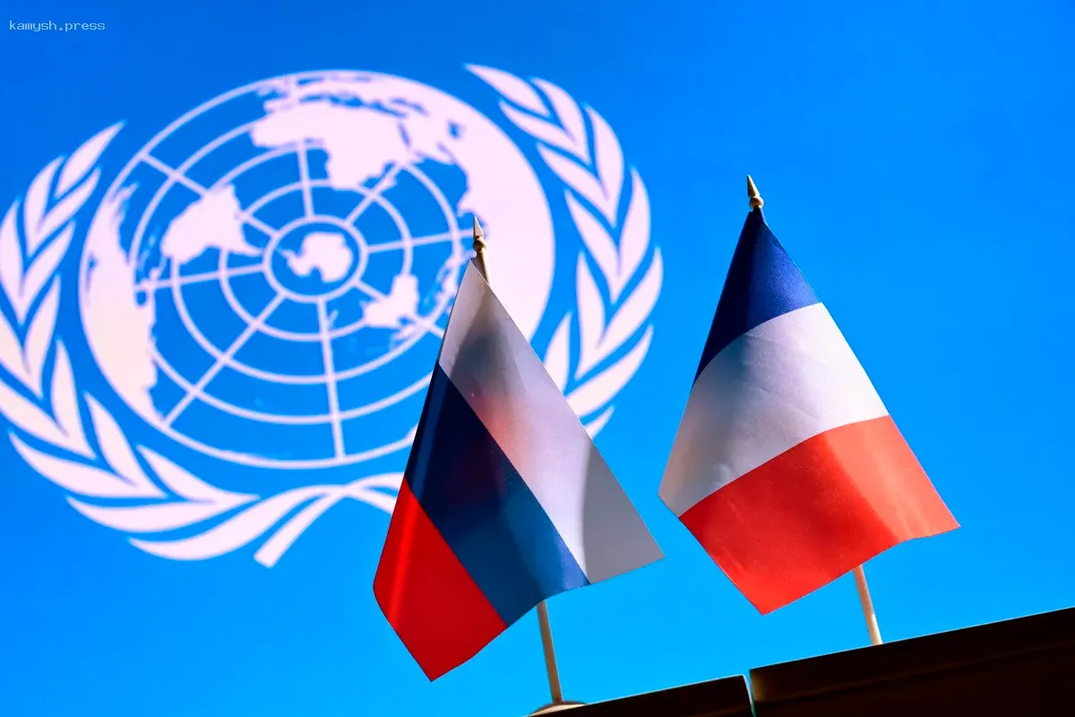 Французская семья переехала в Нижний Новгород ради бизнес-инициативы