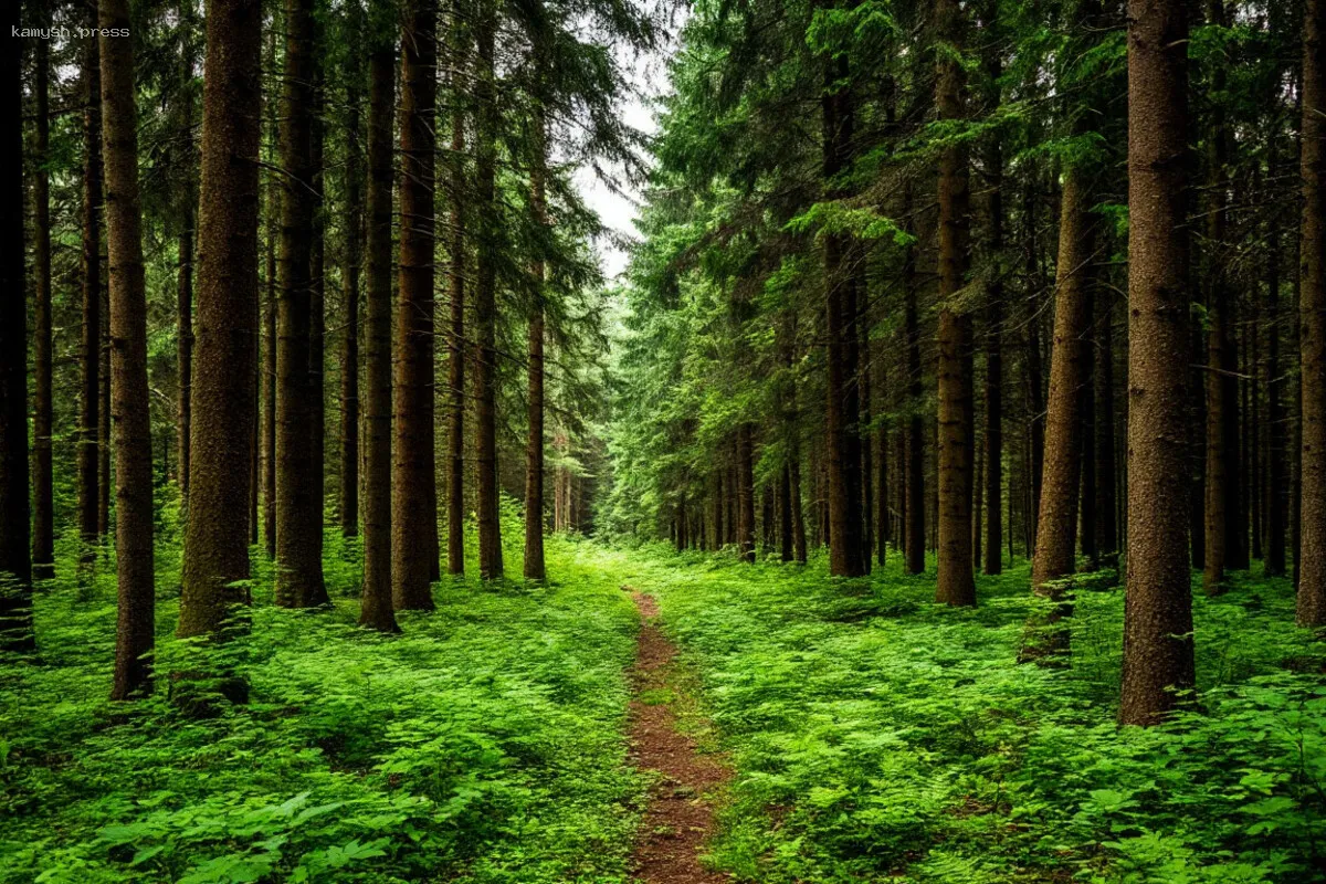 В Марий Эл объявлен период повышенной пожароопасности