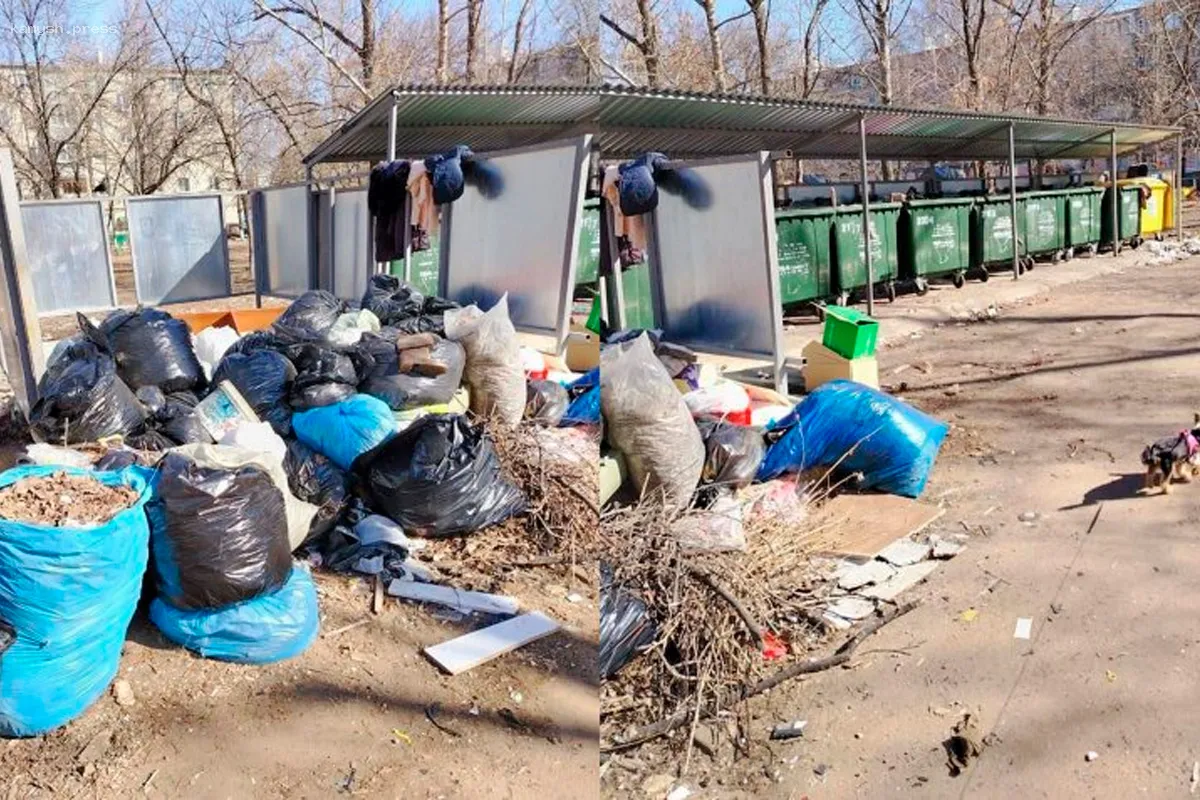 Жители Ульяновска выражают недовольство из-за мусорных проблем с «Экостандартом»