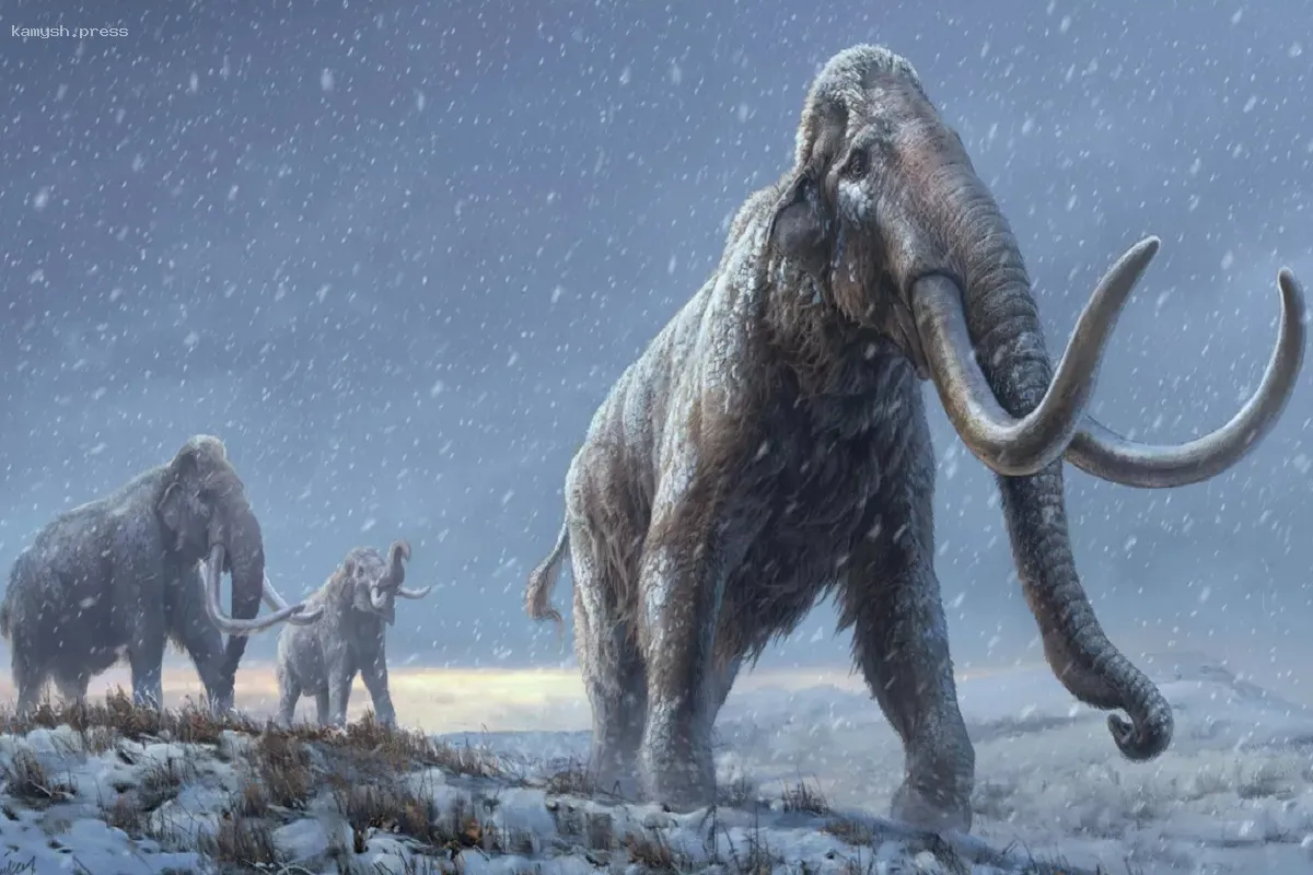 ВОЗ: старинные вирусы из ледников представляют опасность для человечества