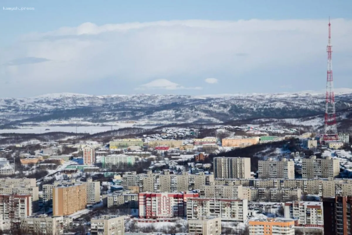 Число самозанятых в Мурманской области возросло на 33%