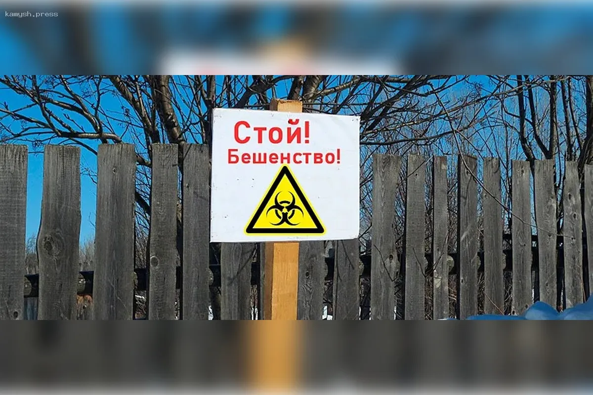 В деревне Тагайка Воронежской области снова зафиксированы случаи бешенства среди животных