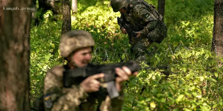 Захватчики продвинулись у ряда населенных пунктов Донетчины — DeepState (КАРТА)