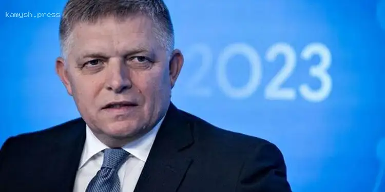 Фицо раскритиковал новый план Еврокомиссии по прекращению импорта российского газа