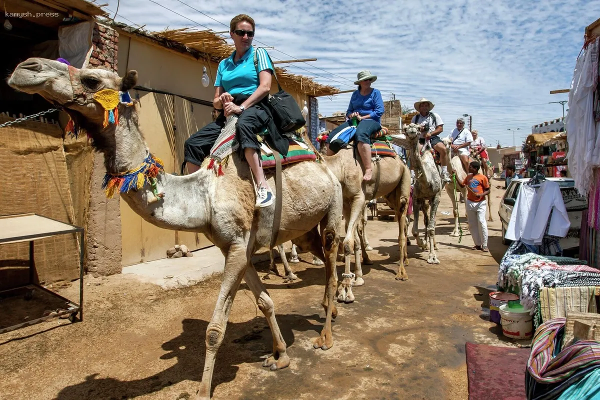 Российских путешественников в Египте переселили в другой отель после множества жалоб на плохой сервис