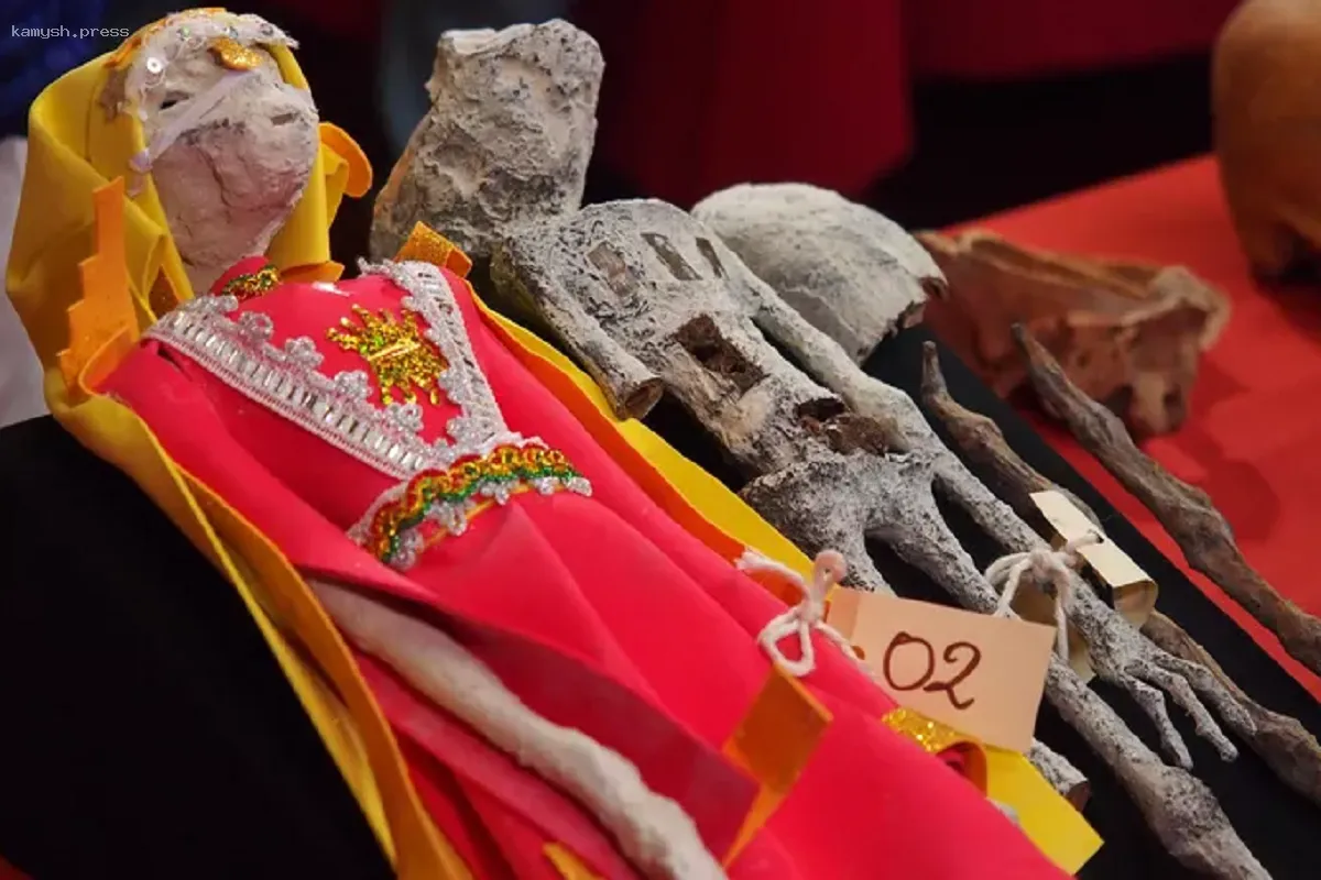 В мумии «инопланетянина» из Перу найден эмбрион с тремя пальцами