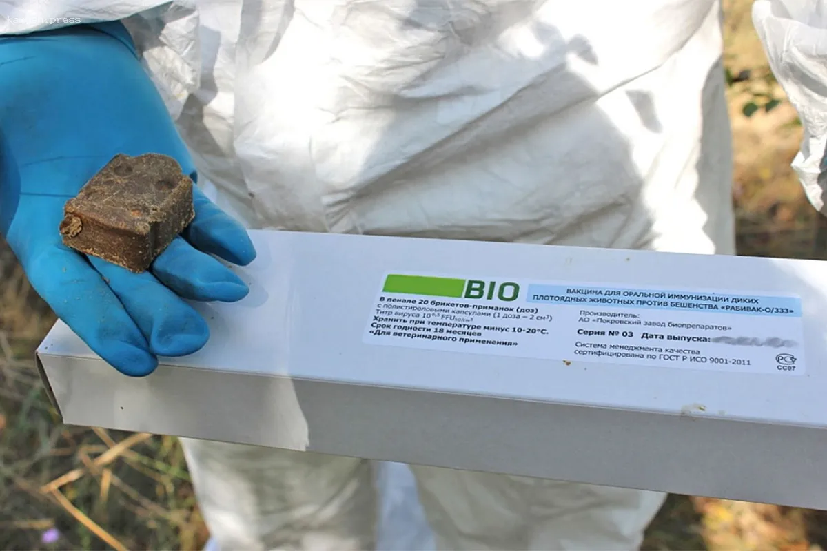 С началом теплых дней в Новосибирске стартует вакцинация диких животных от бешенства