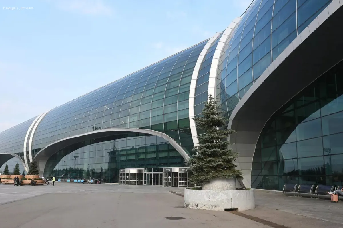 Слушание по делу о передаче Домодедово в госсобственность пройдет в мае