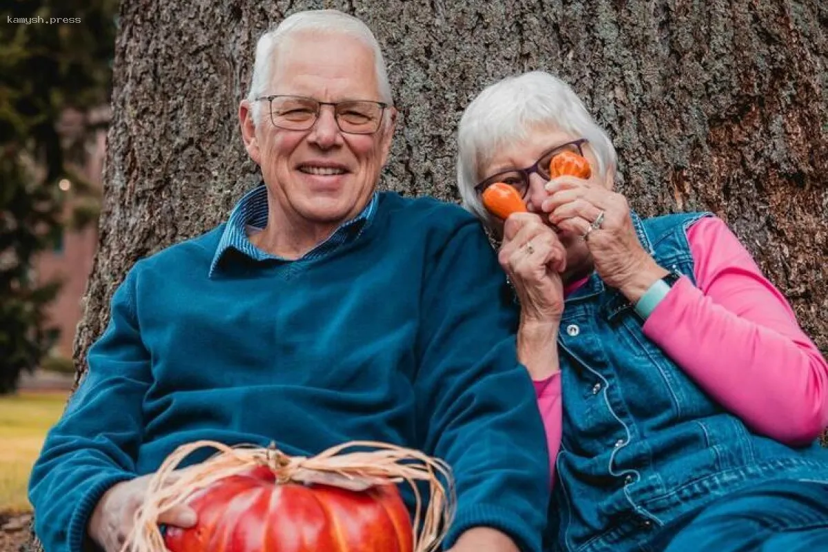 МВД предупредило о новом способе мошенничества, связанного с пенсионными перерасчетами