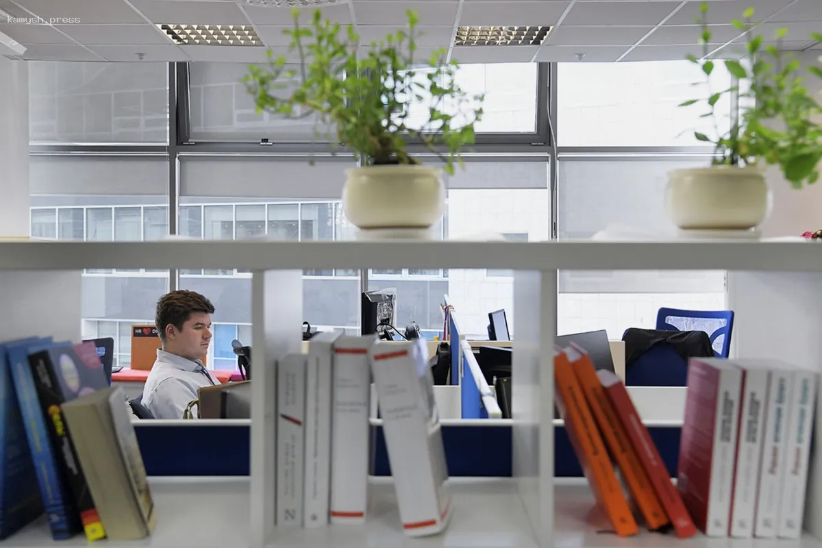 16% жителей Петербурга опасаются, что ИИ может угрожать их занятости