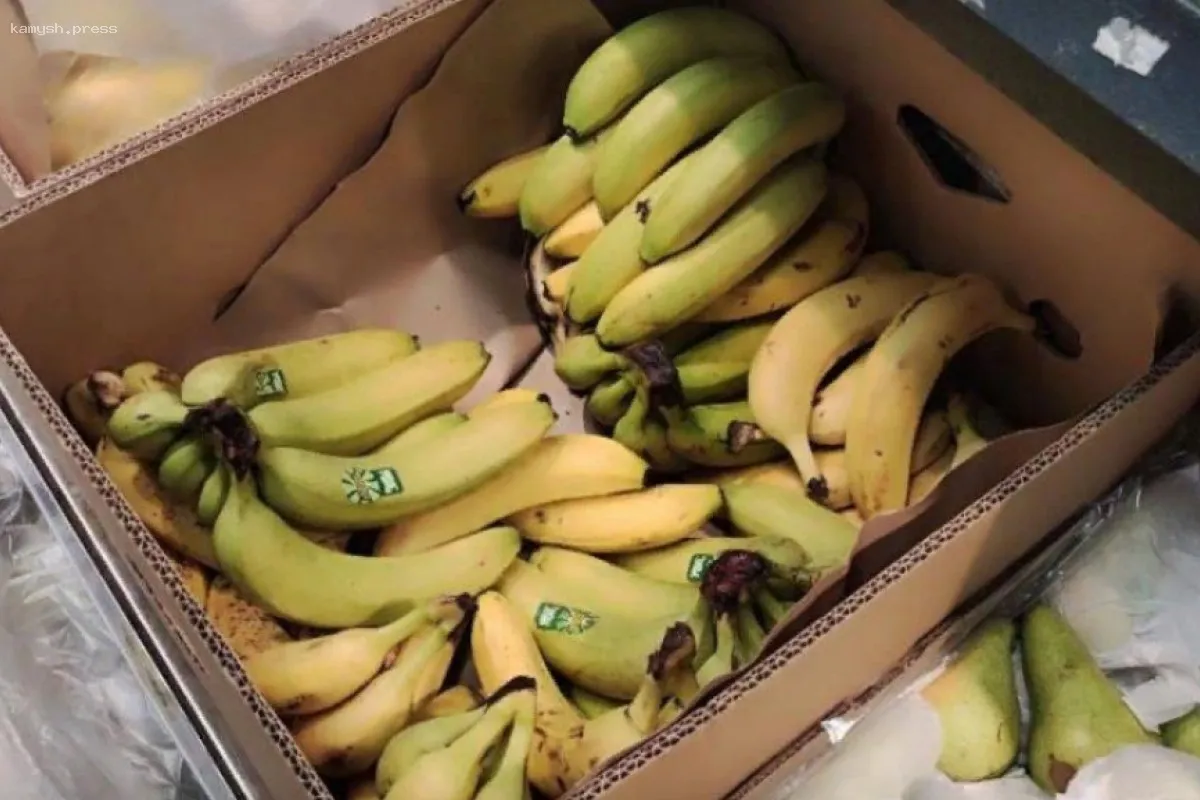 В Новосибирской области двое сотрудников магазина украли свыше 300 кг бананов