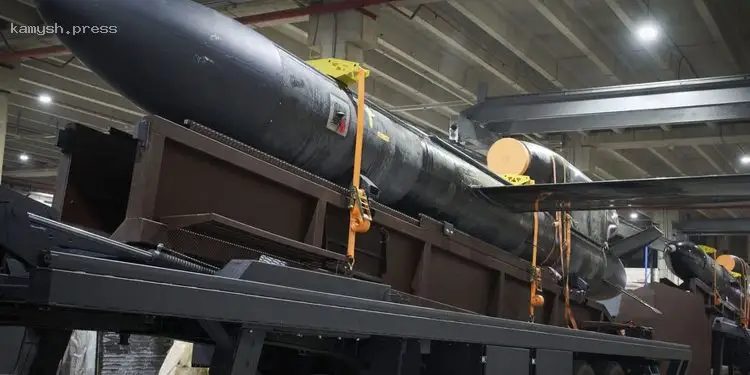 Зеленский ответил, когда в Украине начнут серийно производить ракеты «Фламинго»