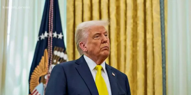 Трамп раскрыл детали возможного мирного соглашения между РФ и Украиной