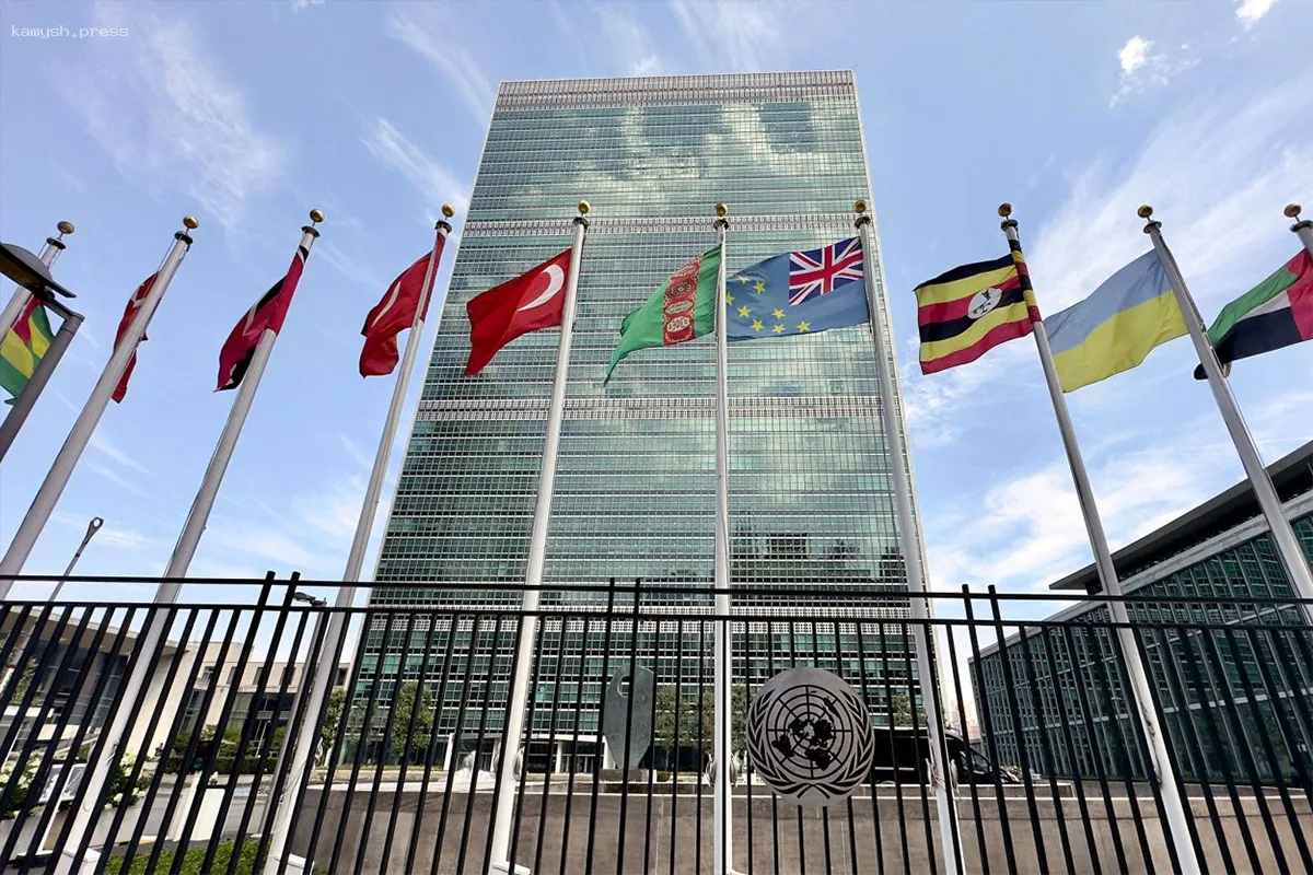 ЛАГ и ОИС стремятся к приостановлению членства Израиля в ООН