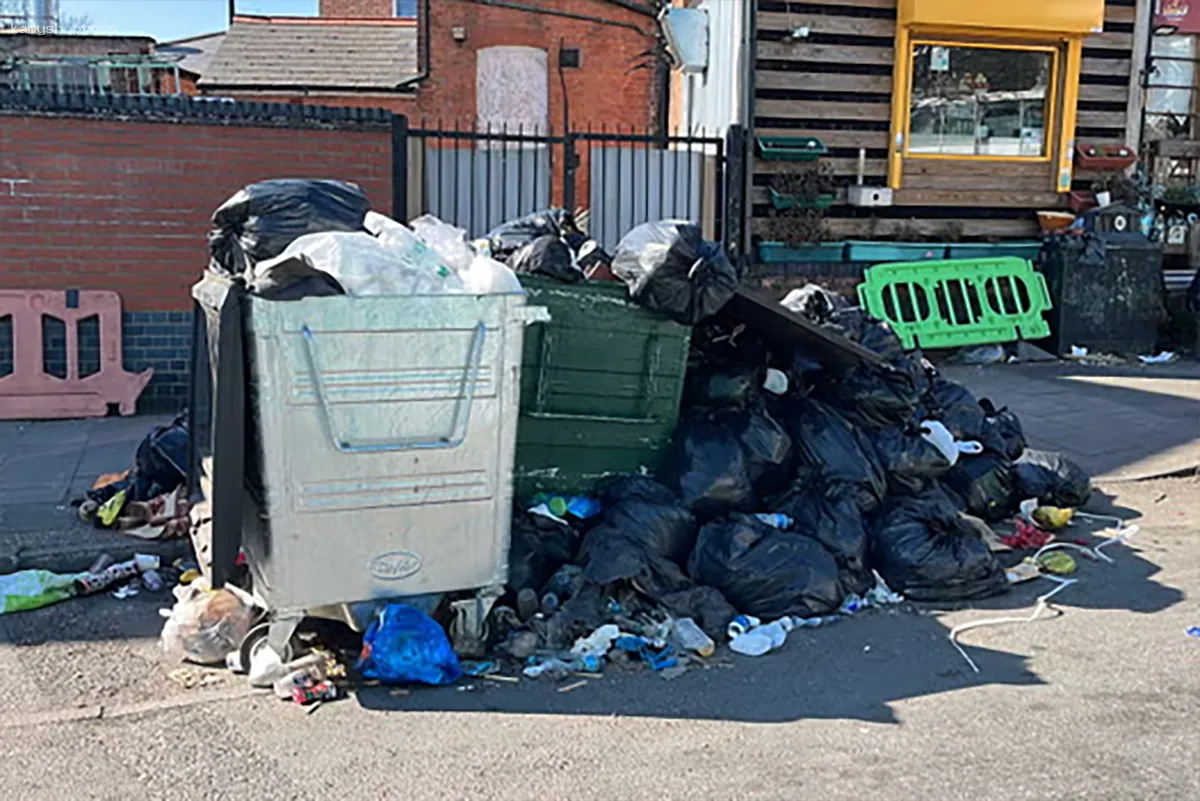 Гигантские крысы стали привычным явлением для обитателей Бирмингема