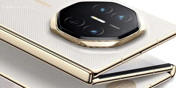 Эксперты предсказали падение цен на украинскую кукурузу в 2025 году