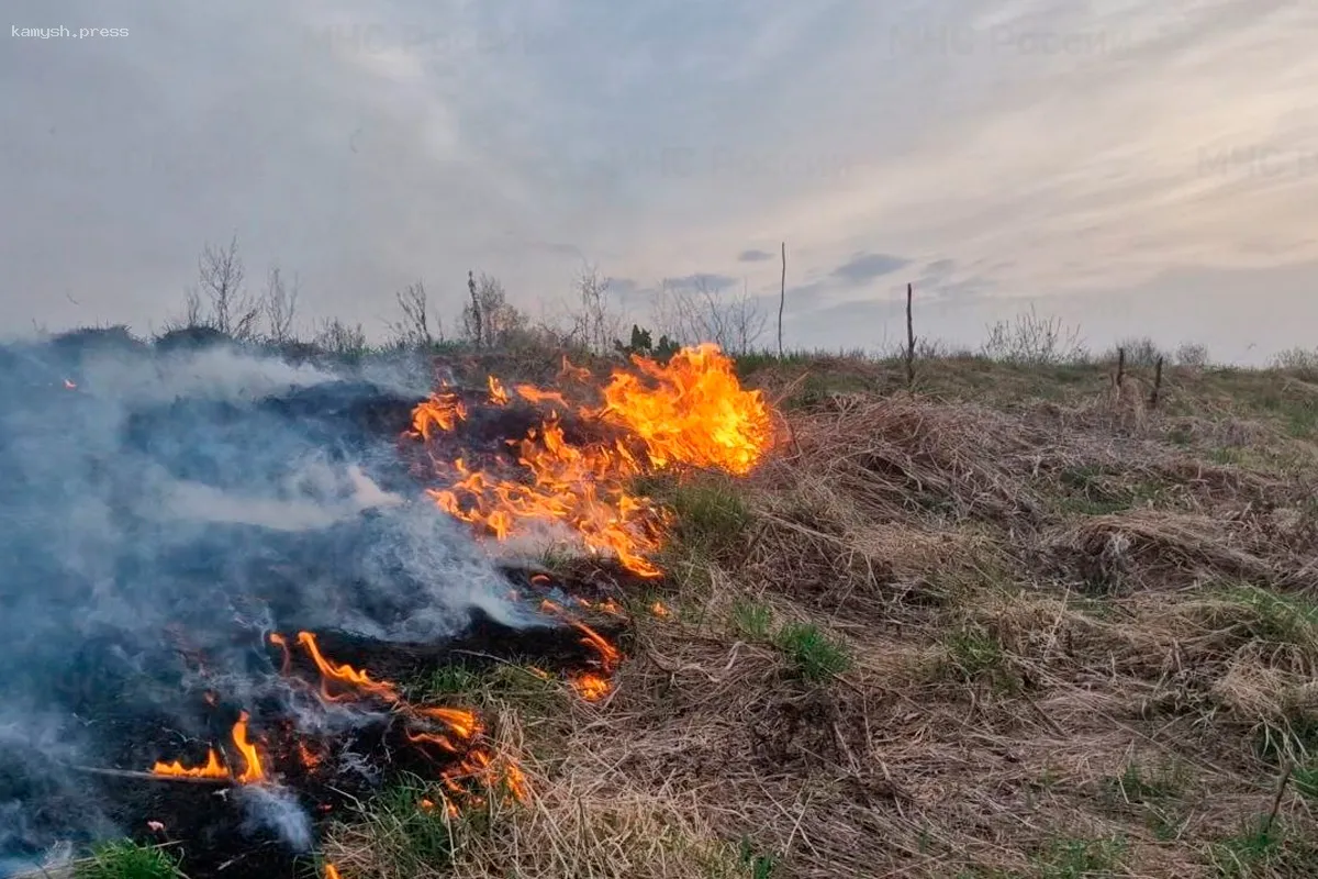 В Новосибирской области завершилась подготовка к пожароопасному сезону