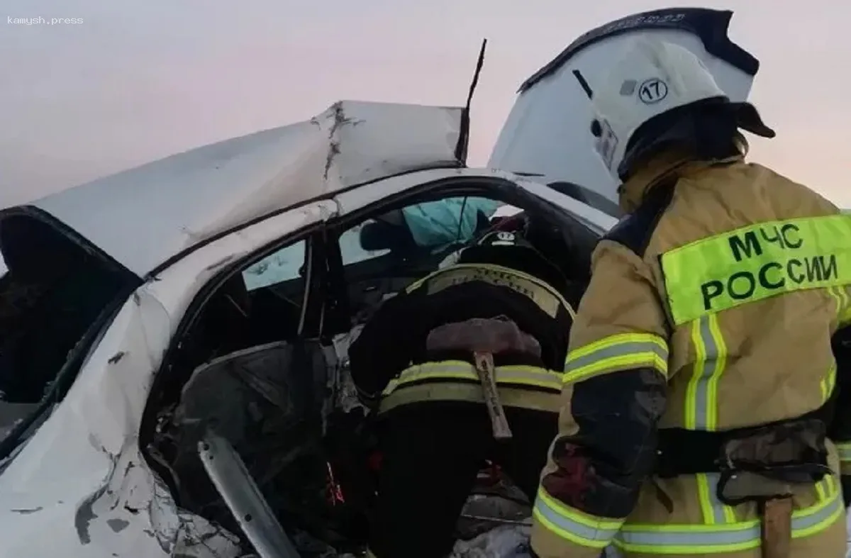 МЧС представило тревожные данные о ДТП в Новосибирской области