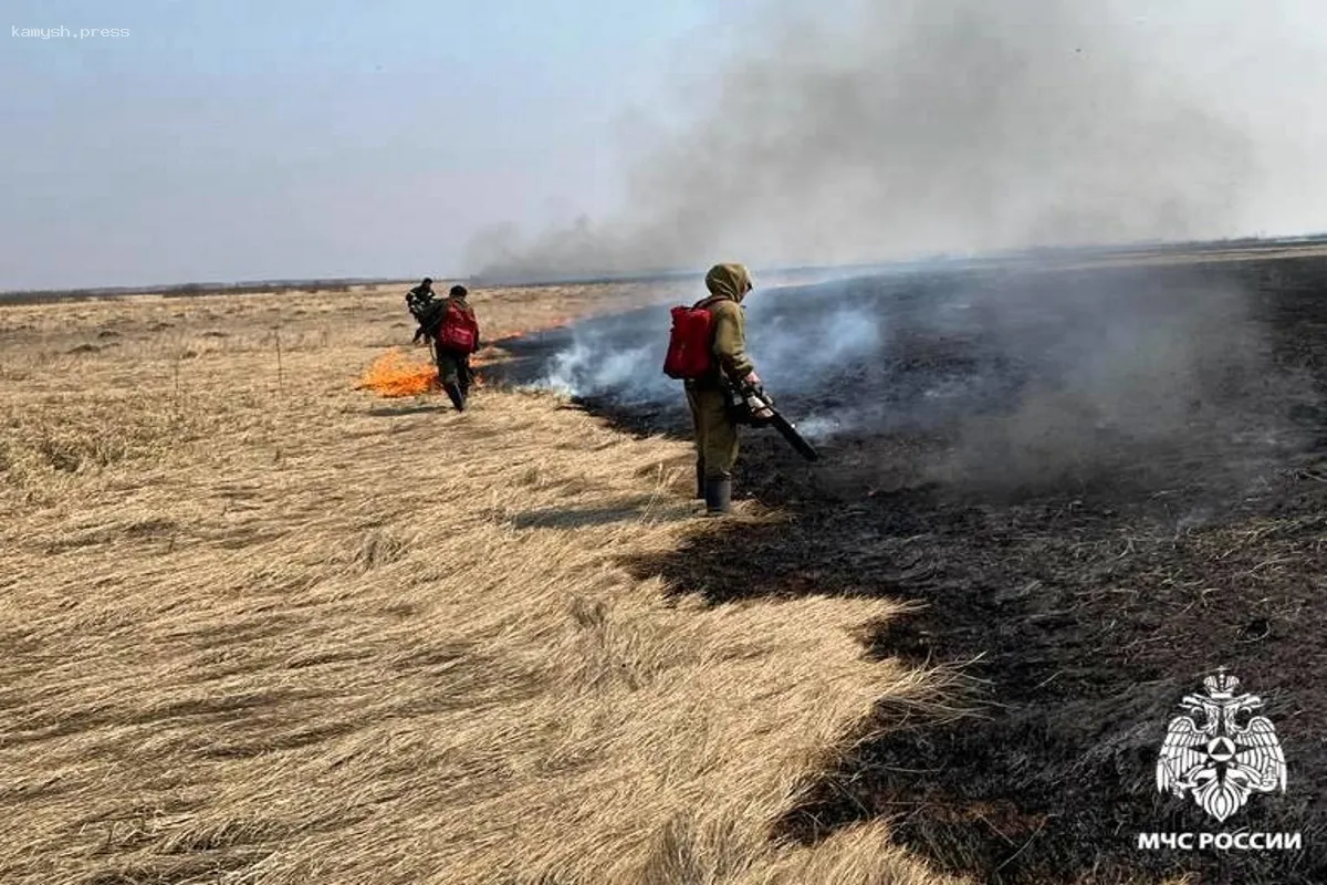 ГУ МЧС Новосибирской области: количество пожаров в регионе возросло в 5 раз за неделю
