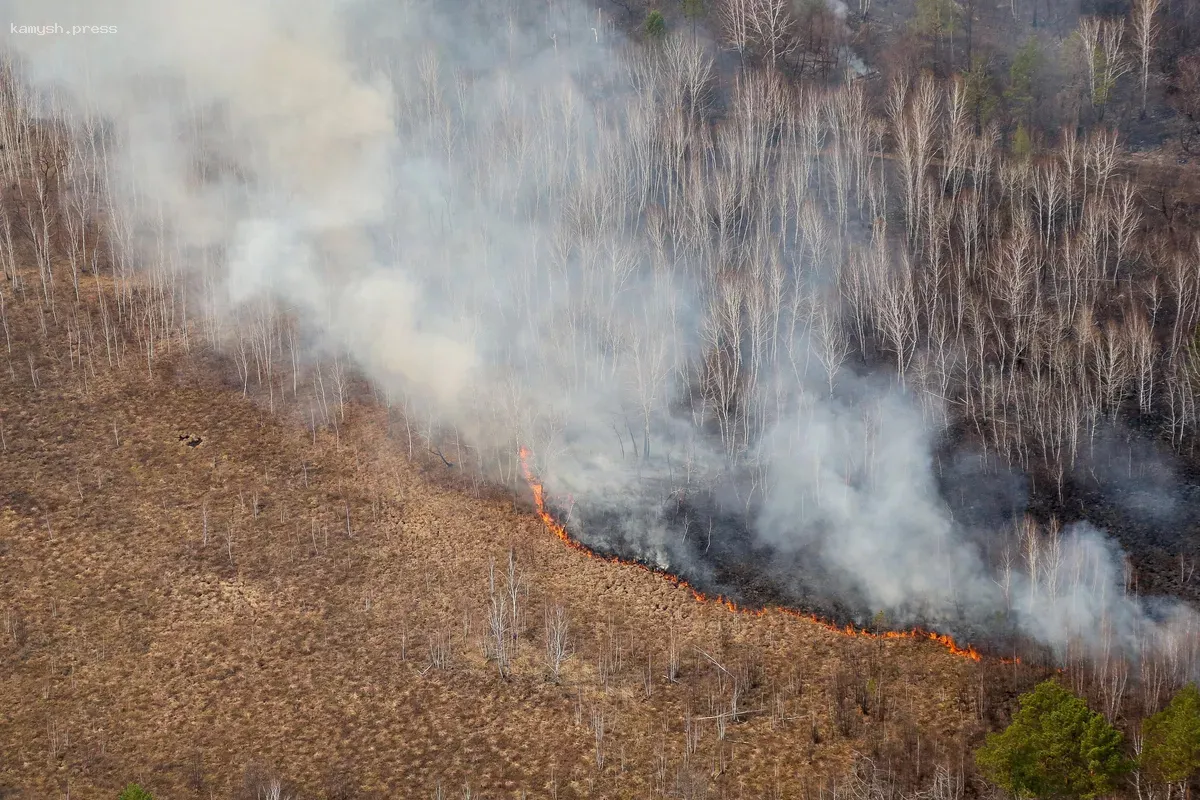 Спасательные службы и пожарные переведены в режим повышенной готовности в Еврейской АО