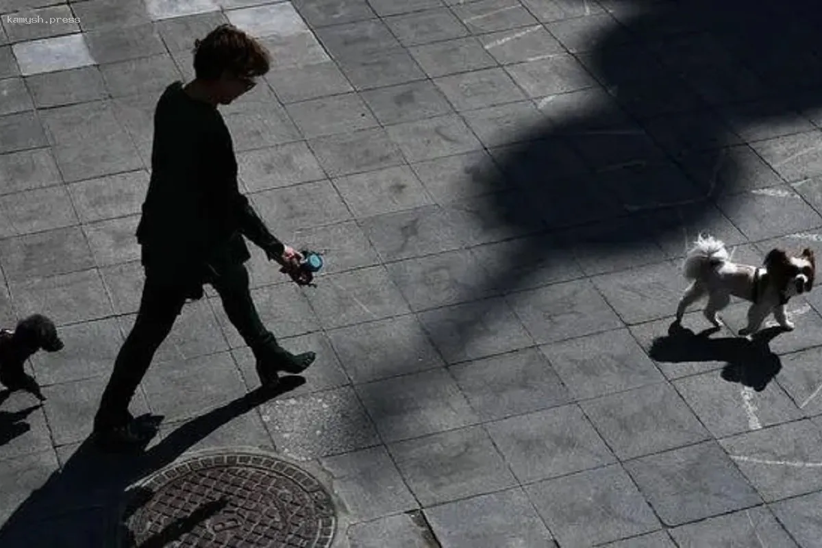 В России рассматривают создание уполномоченного по защите животных