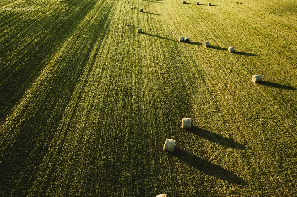 В Краснодарском крае продлили программу льготного выкупа сельхозземель до конца 2025 года