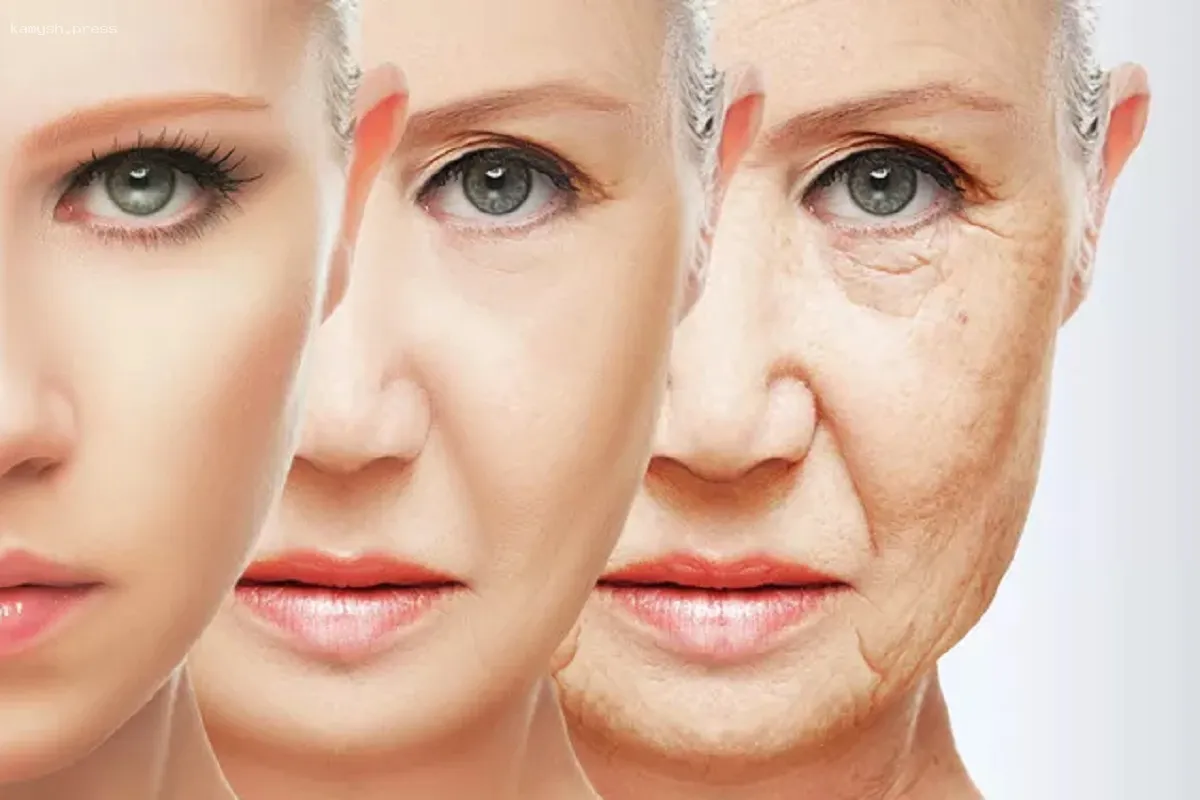 Ученые смогли вернуть коже человека 30 лет молодости