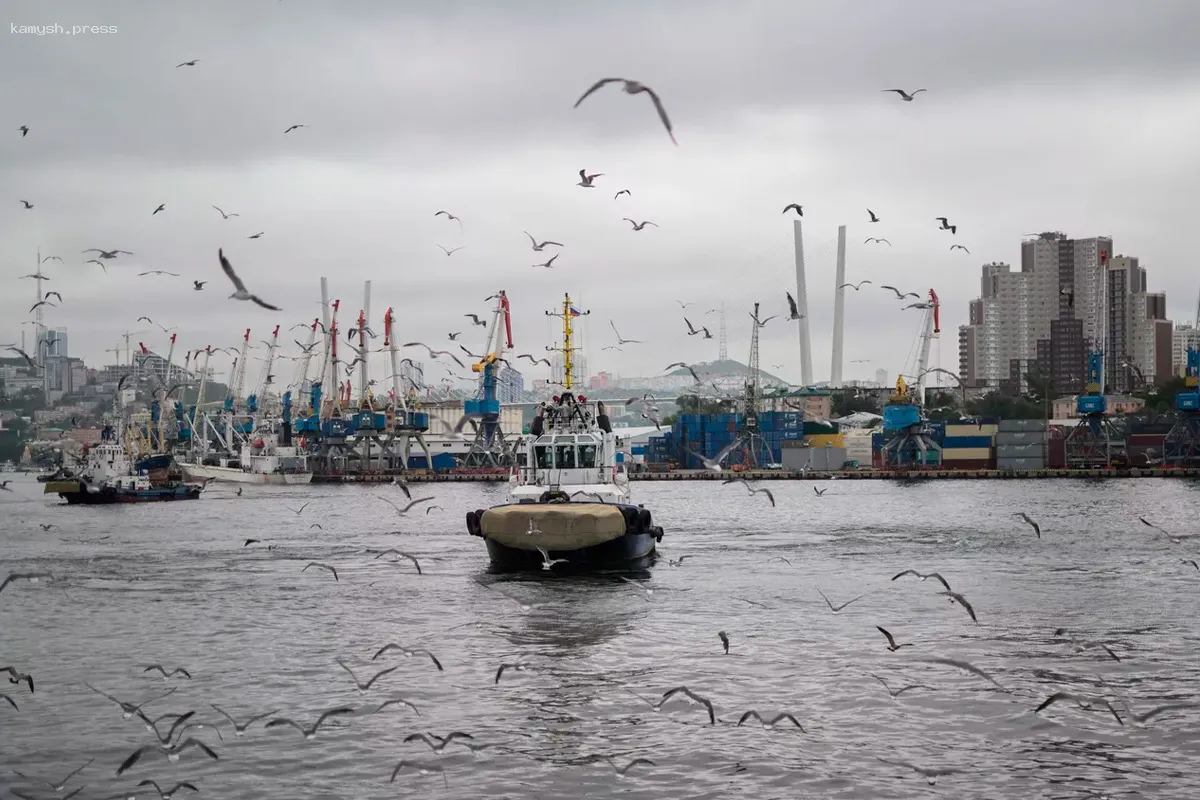 Экскурсии и мастер-классы для школьников, оставшихся во Владивостоке из-за туроператора