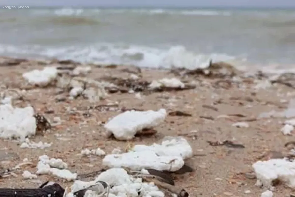 Туристам рекомендовали избегать отдыха на пляжах Анапы из-за белых сгустков вещества