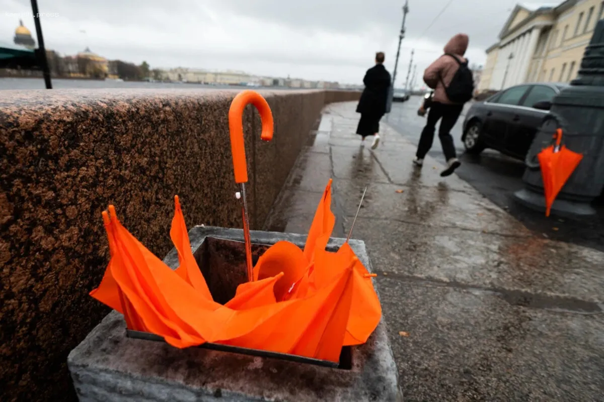 В Санкт-Петербурге введен «желтый» уровень метеорологической опасности