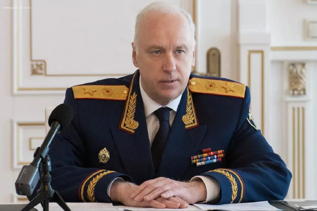 Бастрыкин распорядился о расследовании избиения школьника в Новосибирске