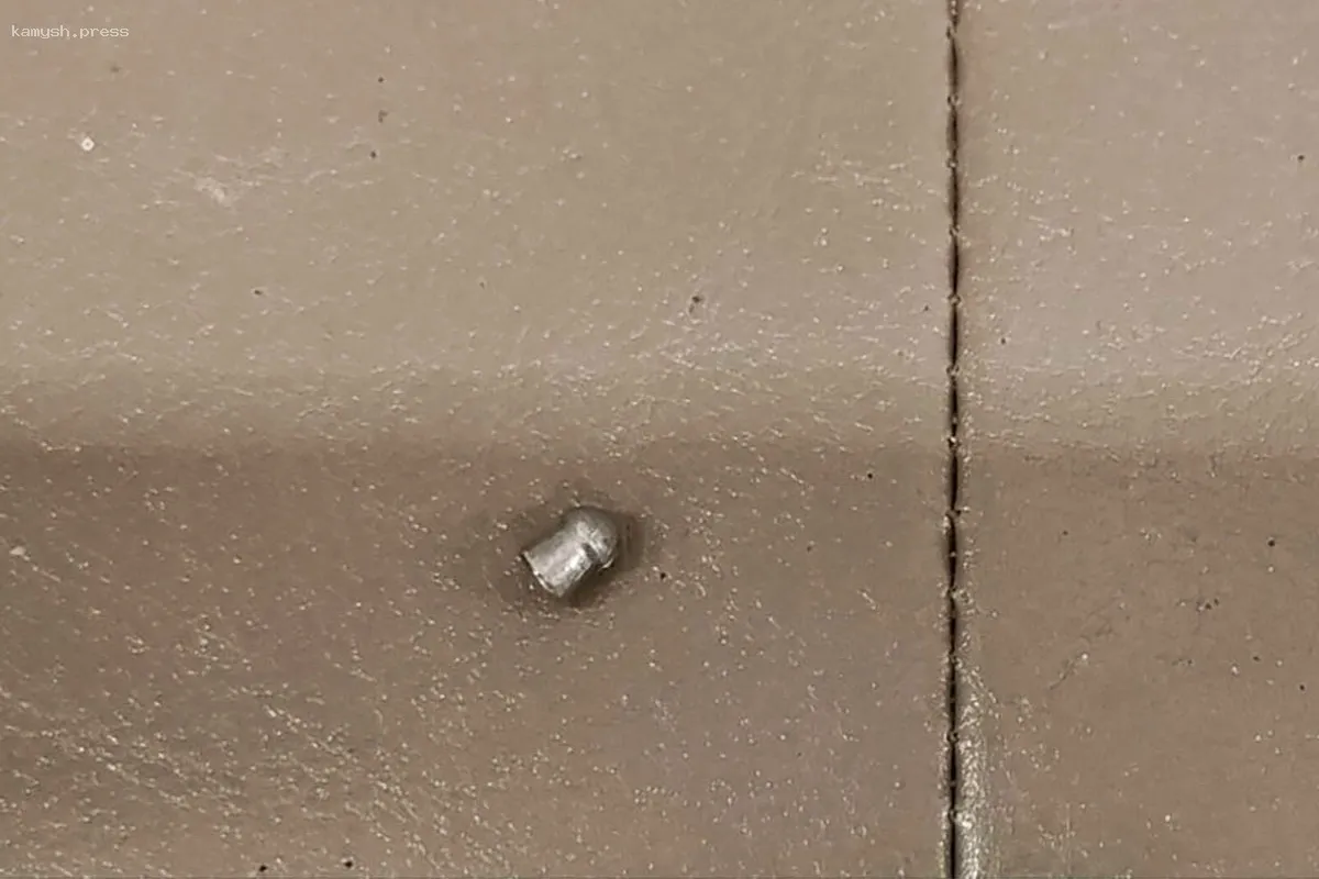 В Пряже неизвестный стреляет в домашних кошек из пневматики