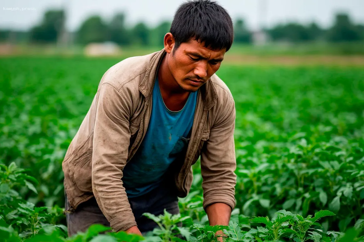 Стало известно, куда могут привлечь работодатели мигрантов в Нижегородской области