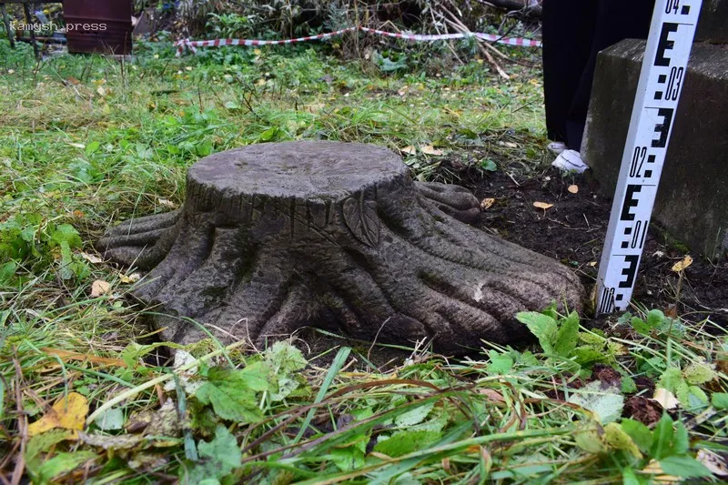 В Кировской области обнаружены уникальные памятники на кладбище