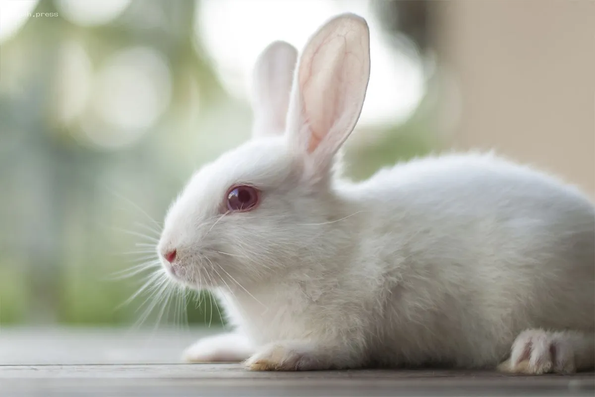 В США самолет совершил экстренную посадку из-за пожара в двигателе