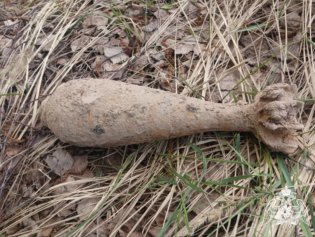 Сапёры Росгвардии уничтожили боеприпас времён войны вблизи Шуи