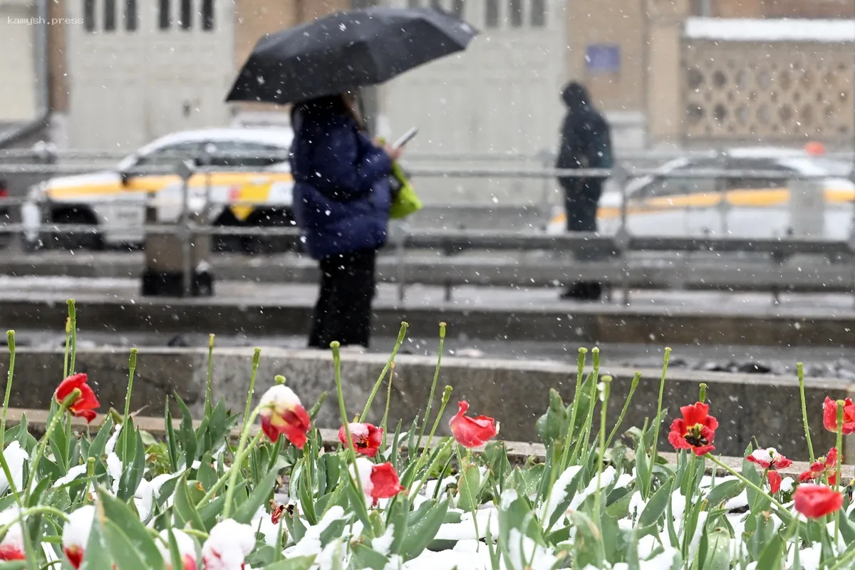 Метеоролог предупредил о снеге и морозах в России на 9 мая