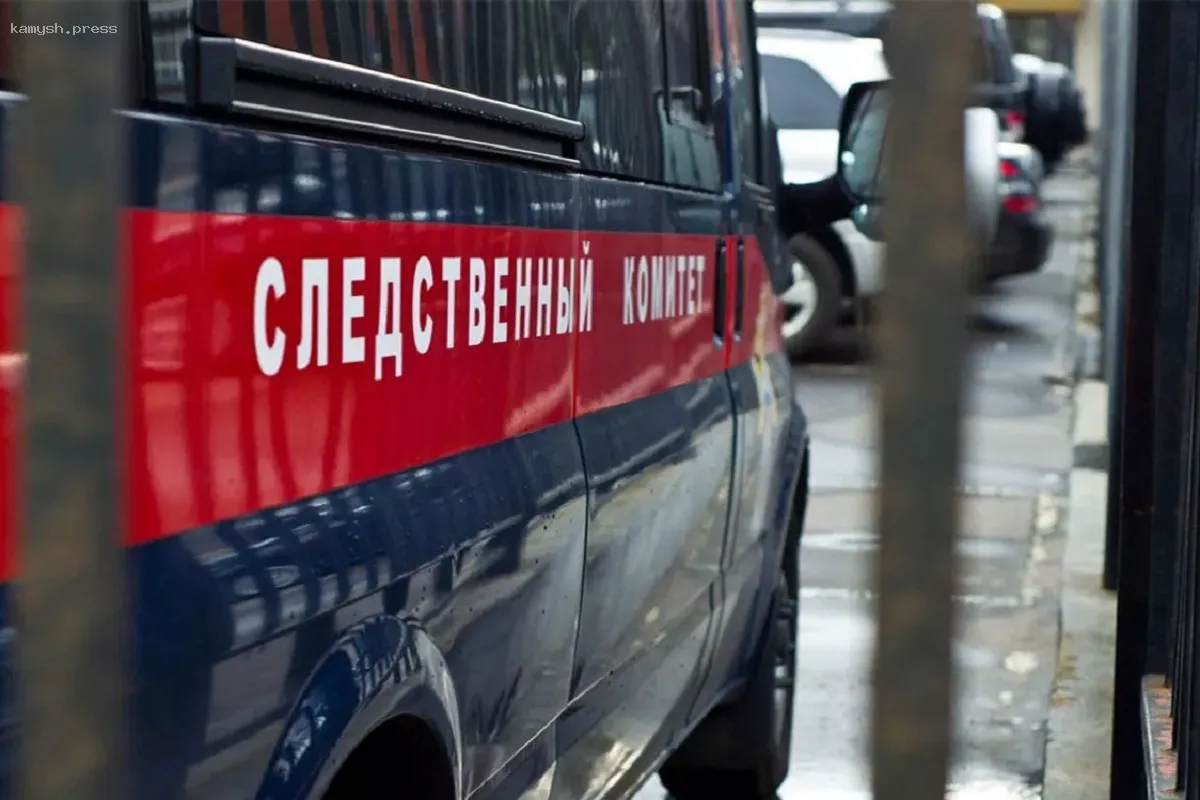 Бастрыкин проявил интерес к инциденту с собаками, напавшими на ребенка в НСО