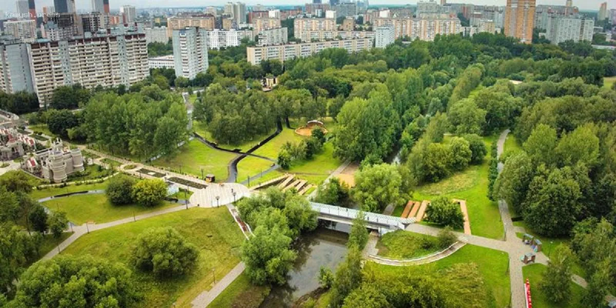 Клещи активизировались: москвичи стали жертвами укусов в парках